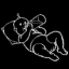 baby1.bmp